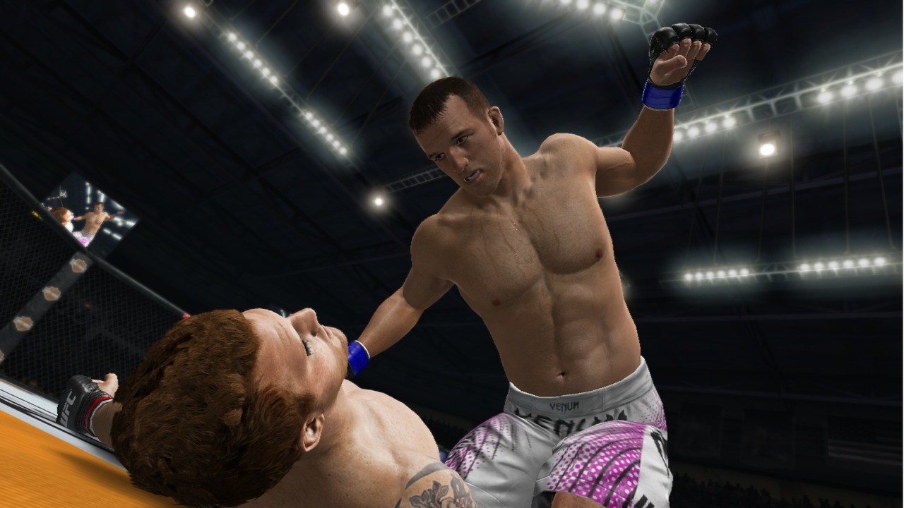 UFC Undisputed 3 - Imagen 18